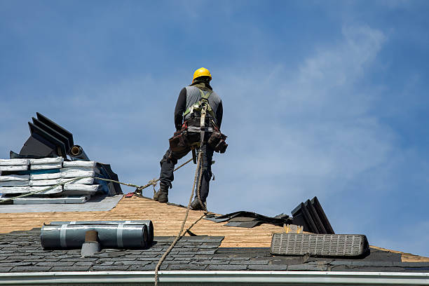Professional Roofing technician working in West Point, NE